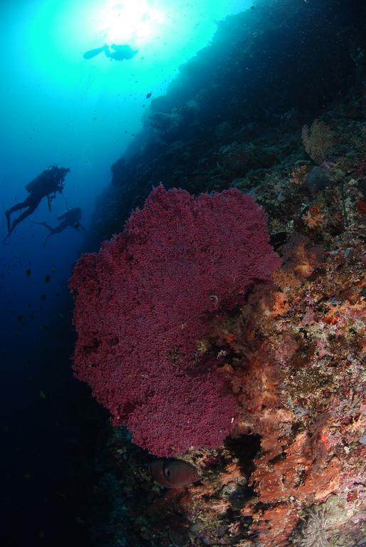 Bunaken Divers Sea Breeze Resort Екстериор снимка